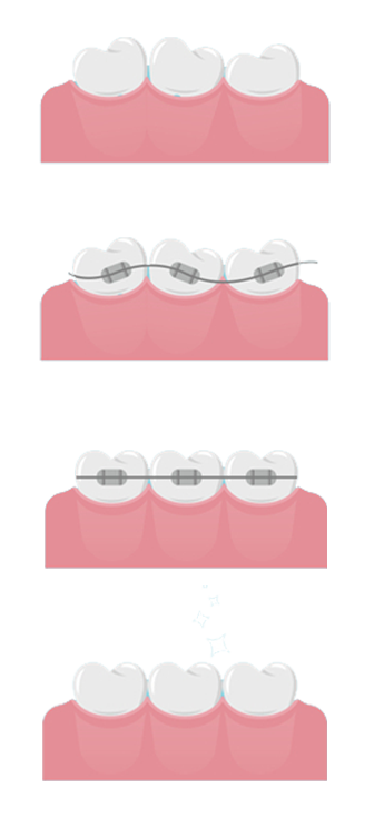 section 1 orthodontir